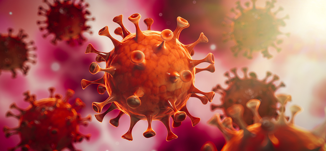 Coronavirus Update